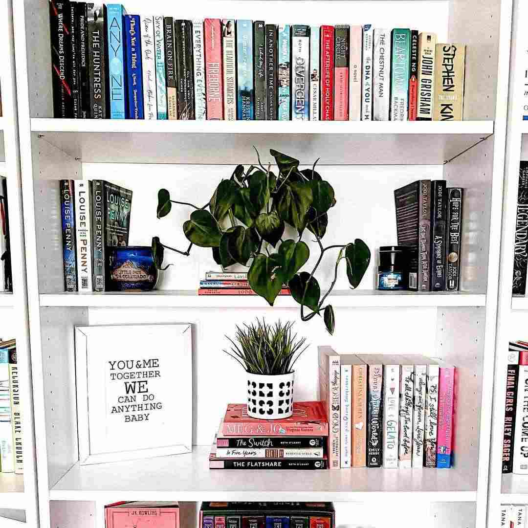 estante com livros e planta