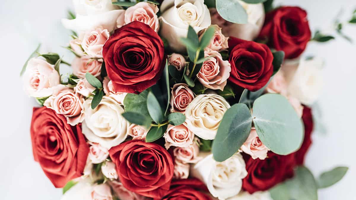 Estas 6 são as flores IDEAIS para expressar seu amor no Dia das Mães