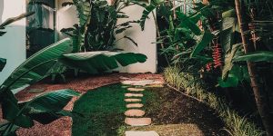 7 ideias para o jardim na frente da casa: veja dicas para deixá-lo lindo sem gastar muito