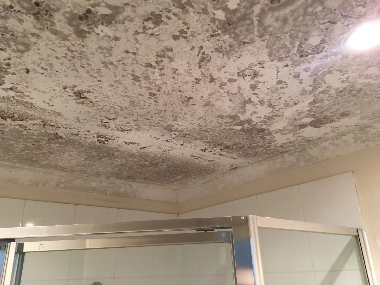 muito mofo em teto do banheiro