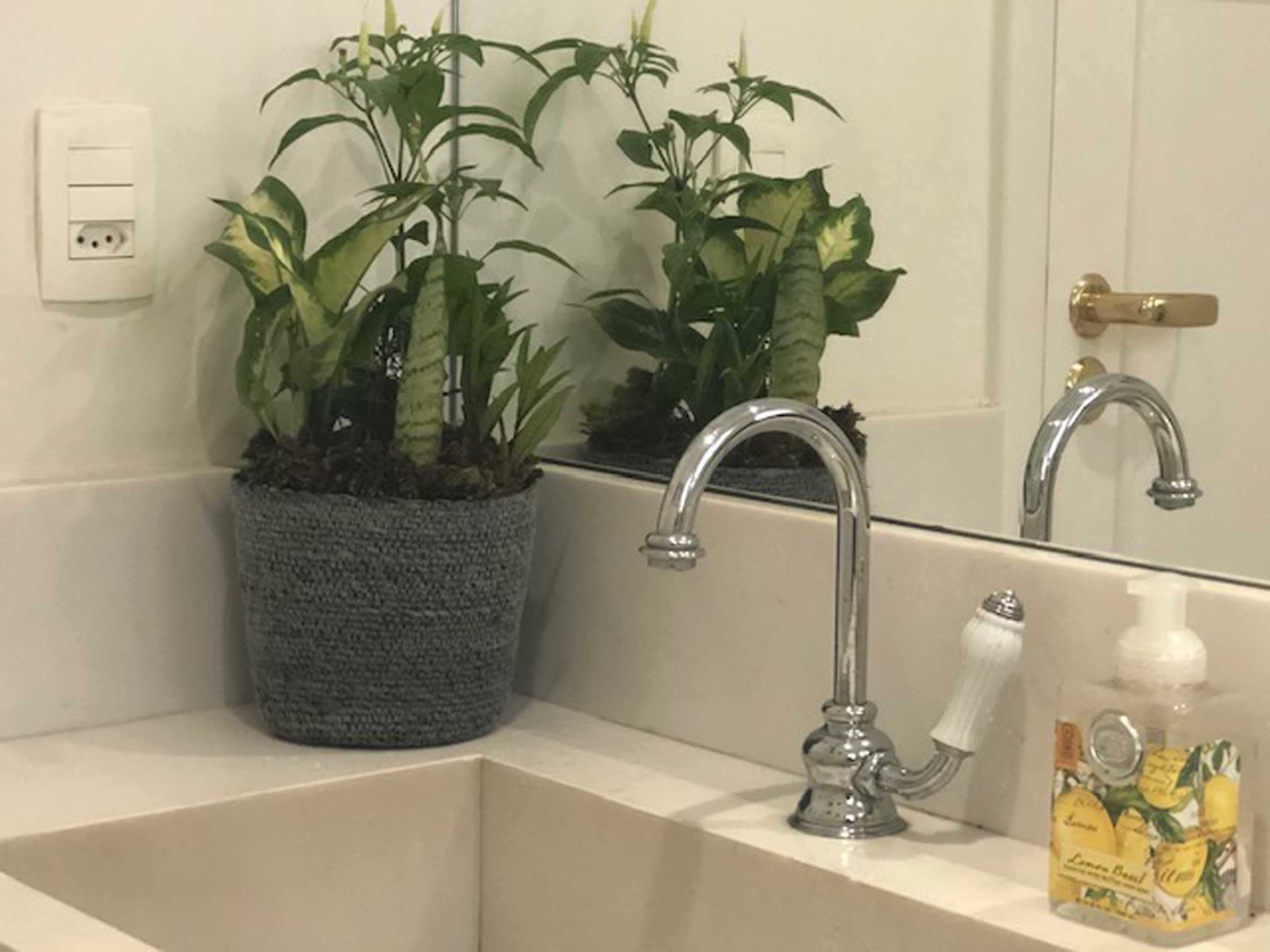 vaso de 7 ervas em banheiro