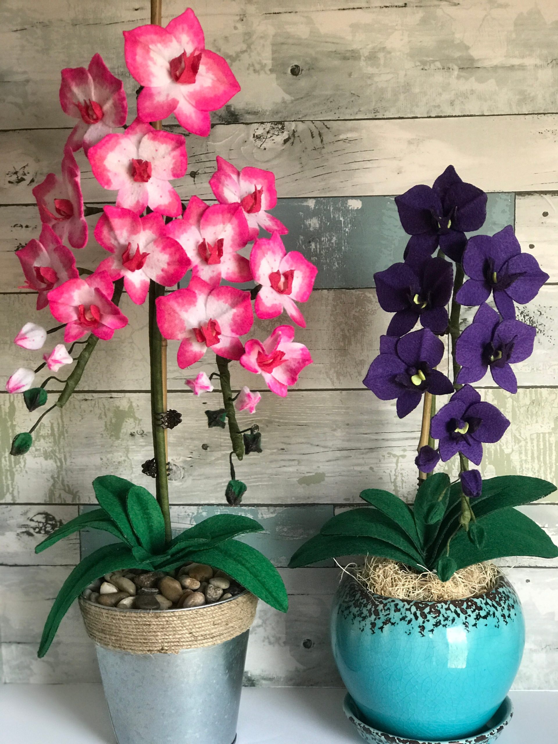 vasos com orquídeas