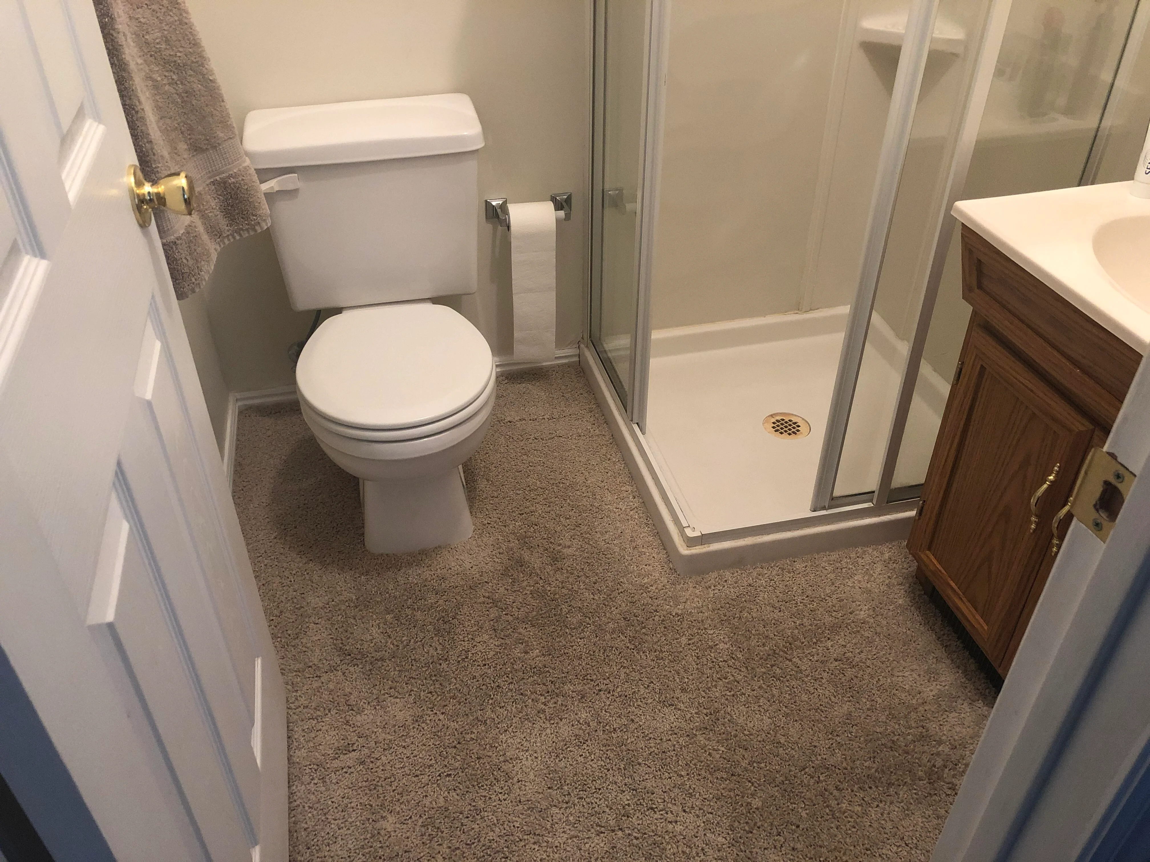 banheiro com piso de carpete