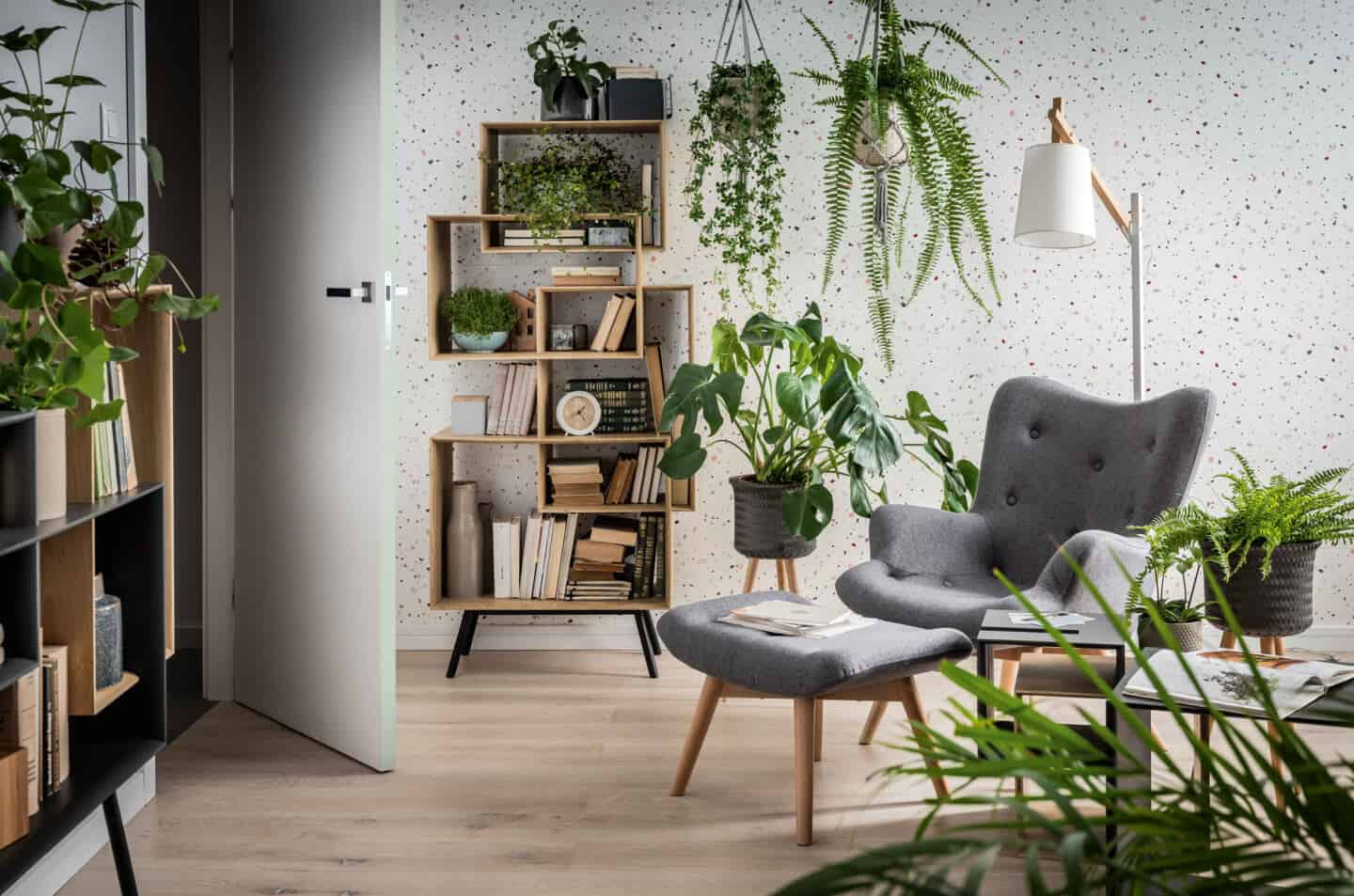 espaço dentro de casa com várias plantas