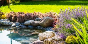 jardim terapêutico com água