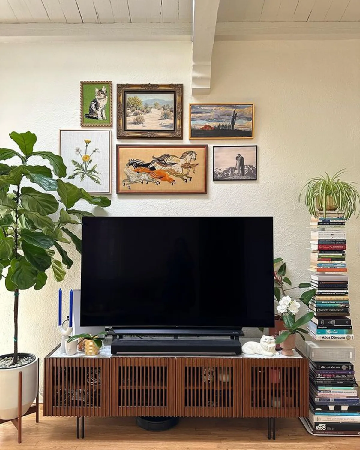 espaço da TV com plantas e quadros