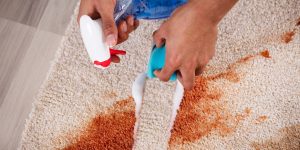 limpeza de manchas do tapete