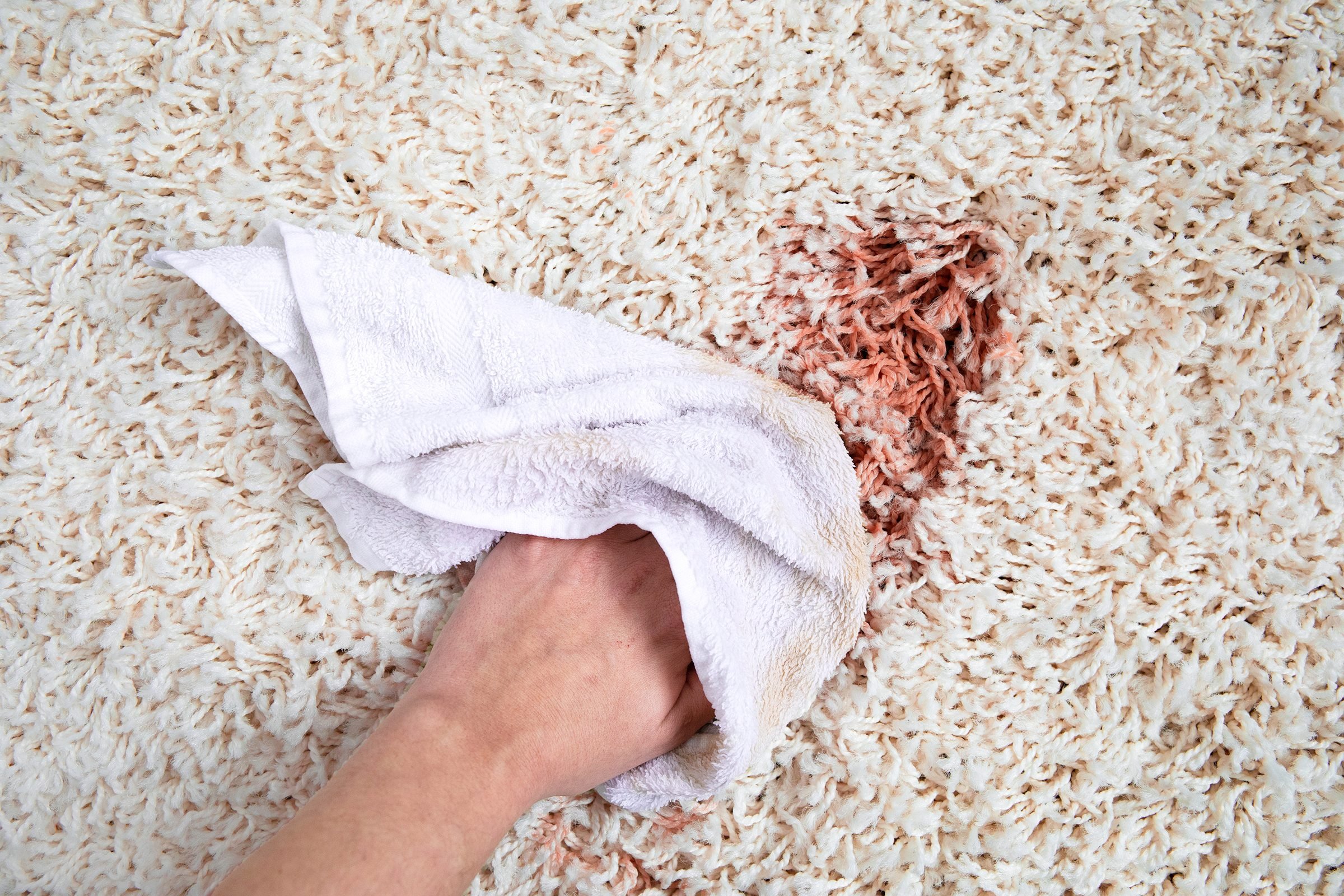 pessoa limpando mancha no tapete