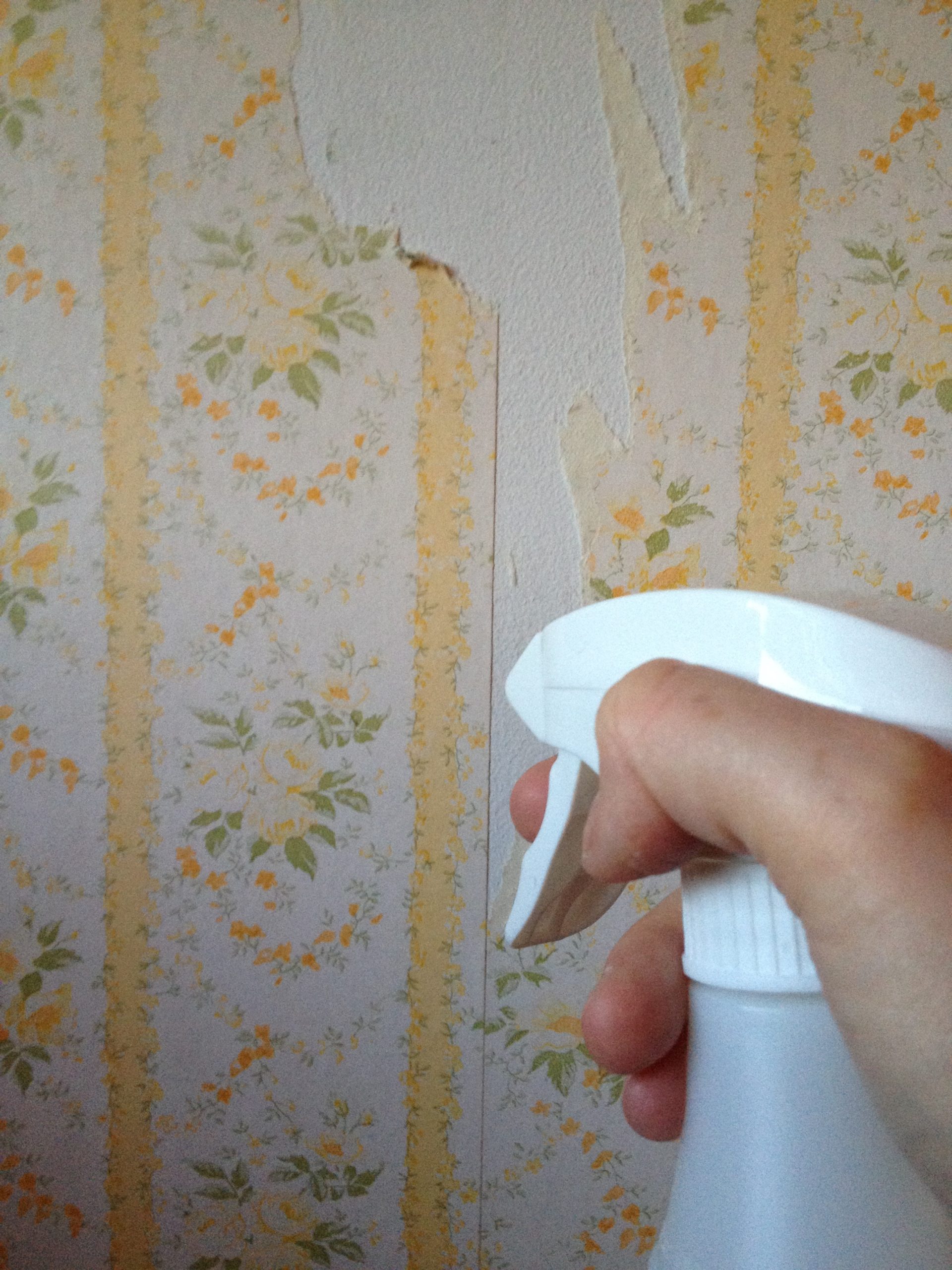 remover papel de parede com água e detergente
