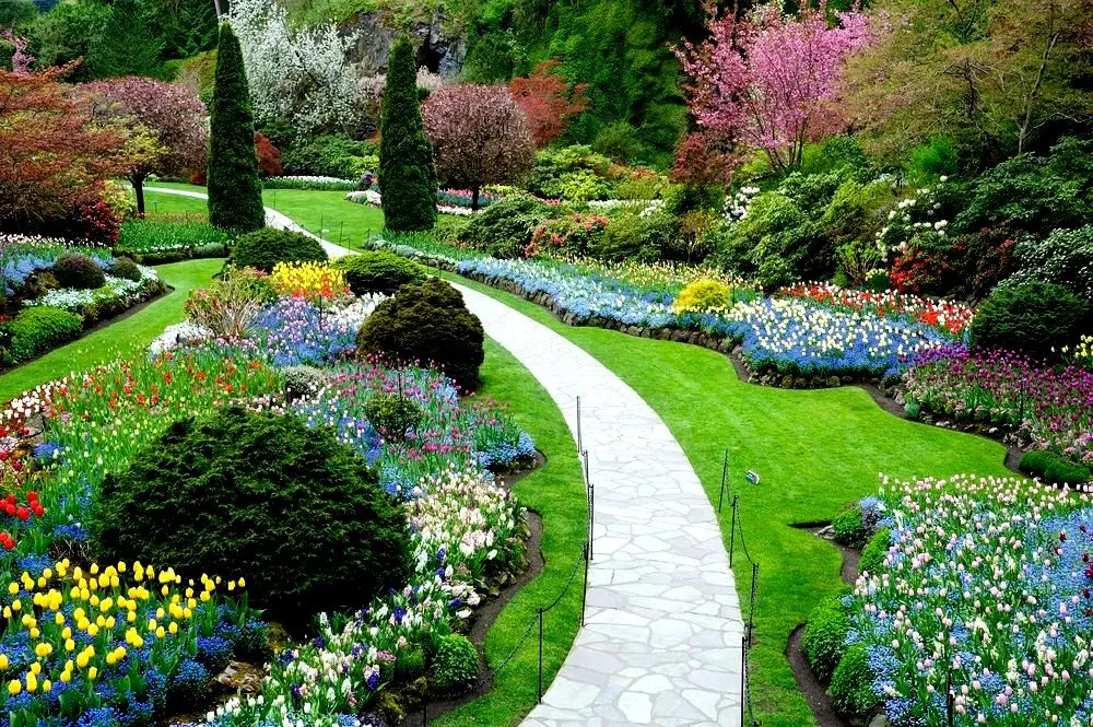 5 tipos de paisagismo para seu jardim que vão ENCANTAR seus olhos