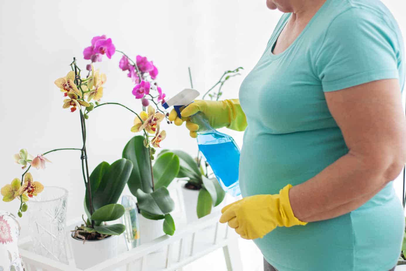 aplicação de fertilizante líquido em orquídeas
