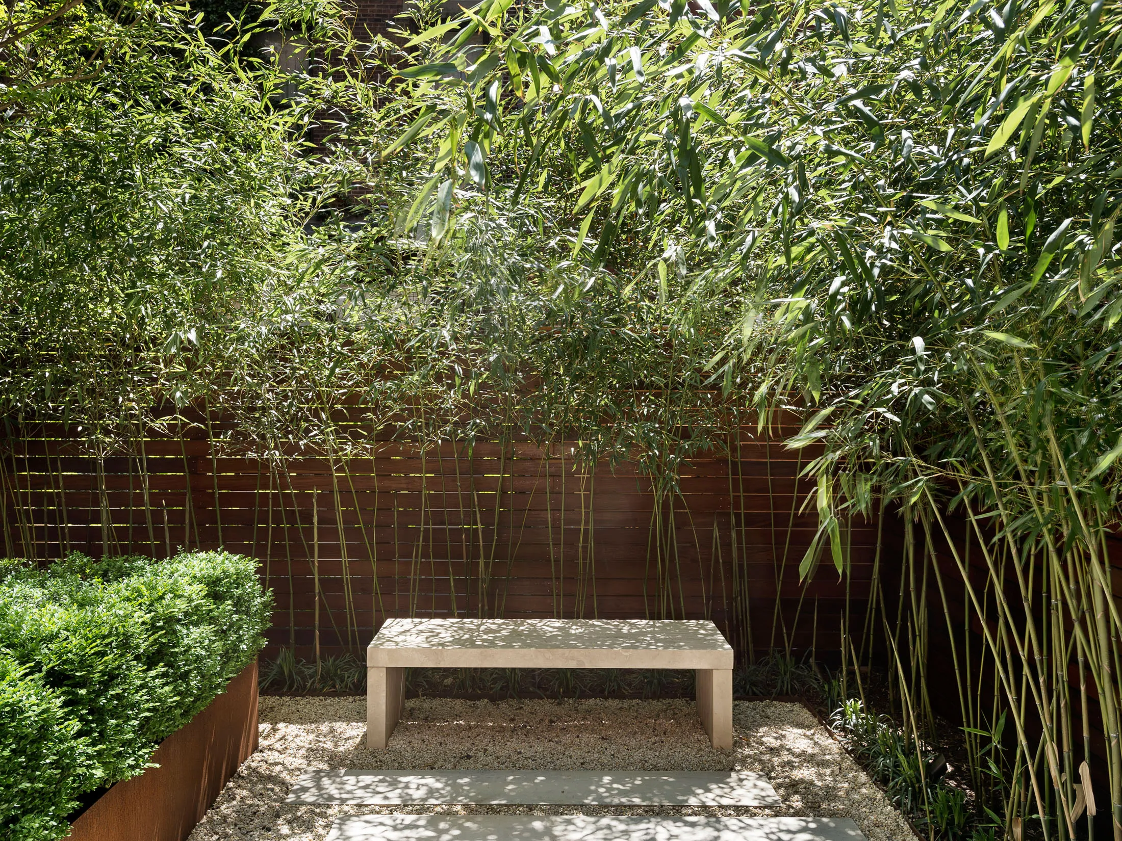 área do jardim com bambus e banco de pedra