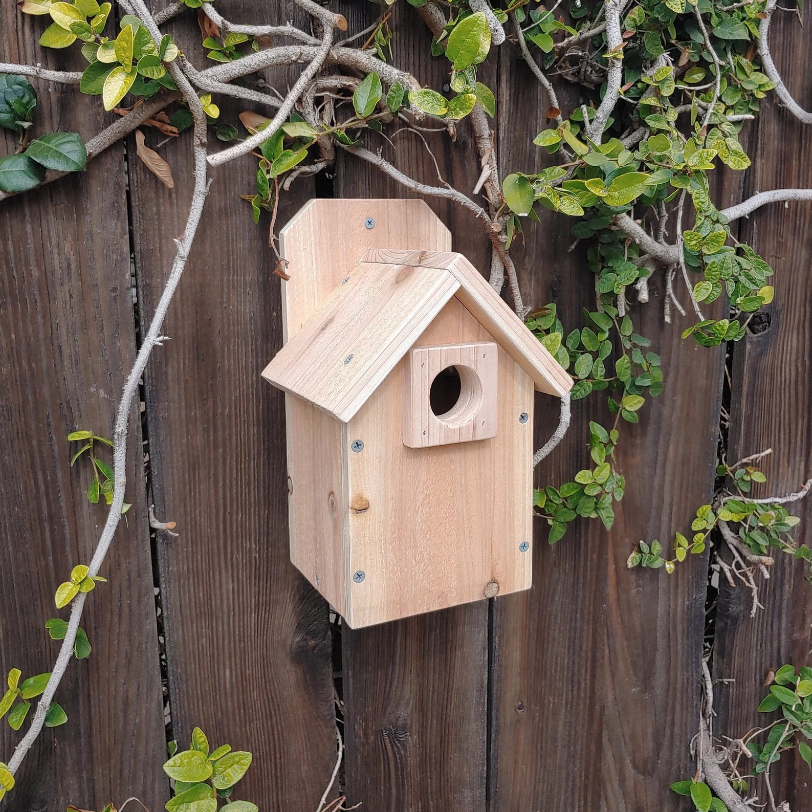 casa de pássaros de madeira