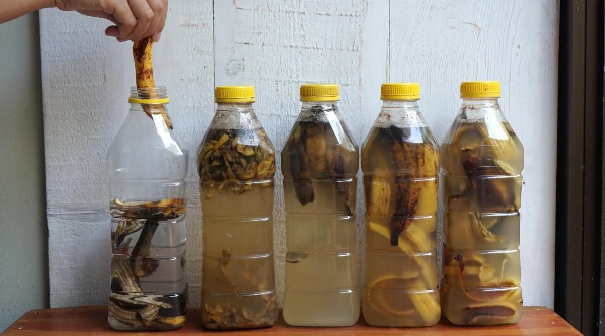garrafas plásticas com água de banana