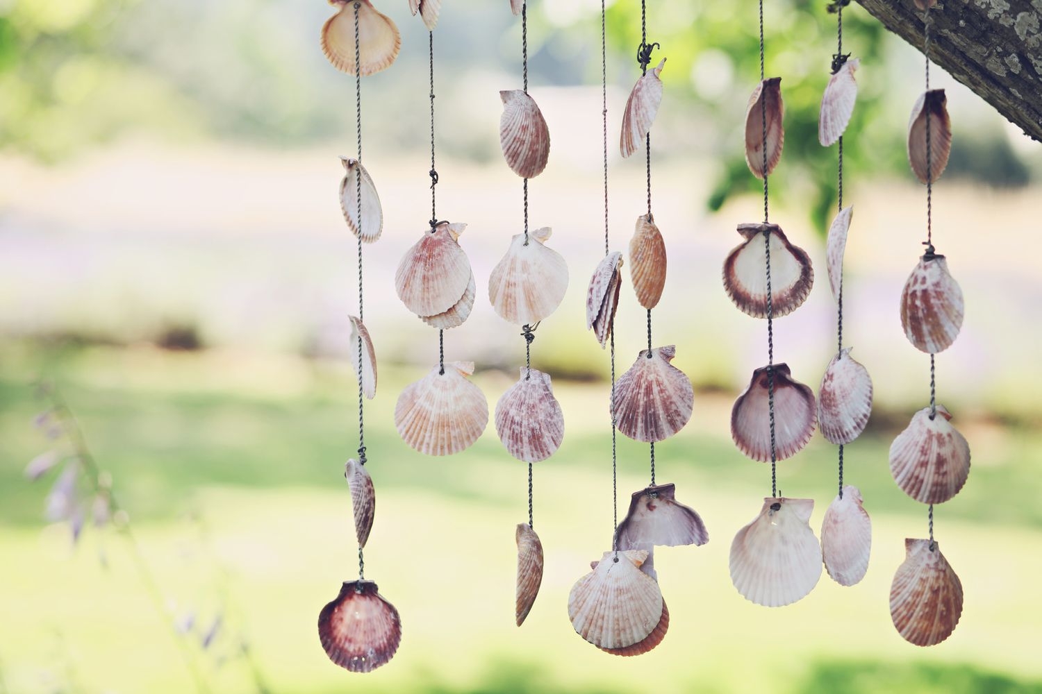 wind chimes made from shells
