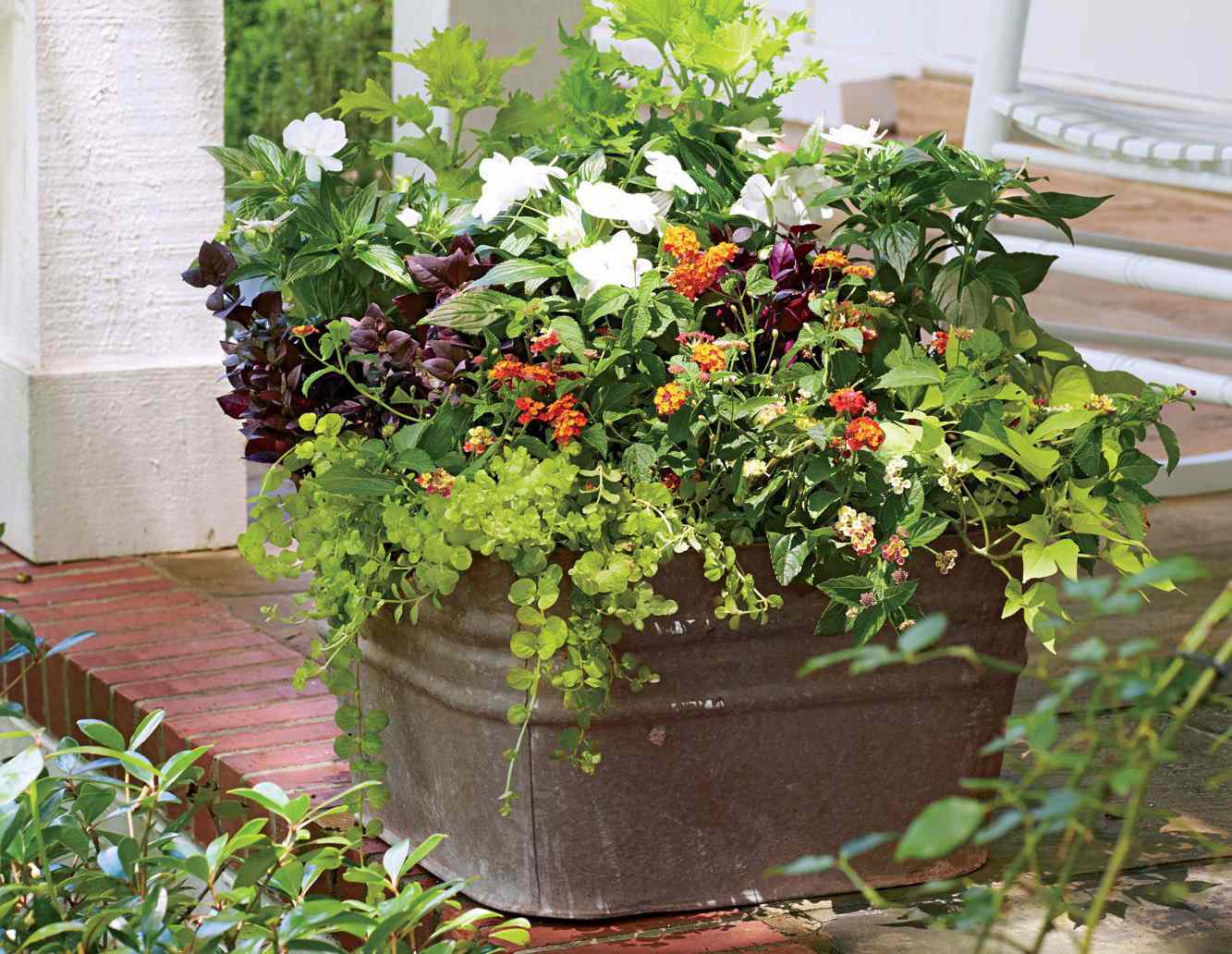 vaso com várias plantas em área externa