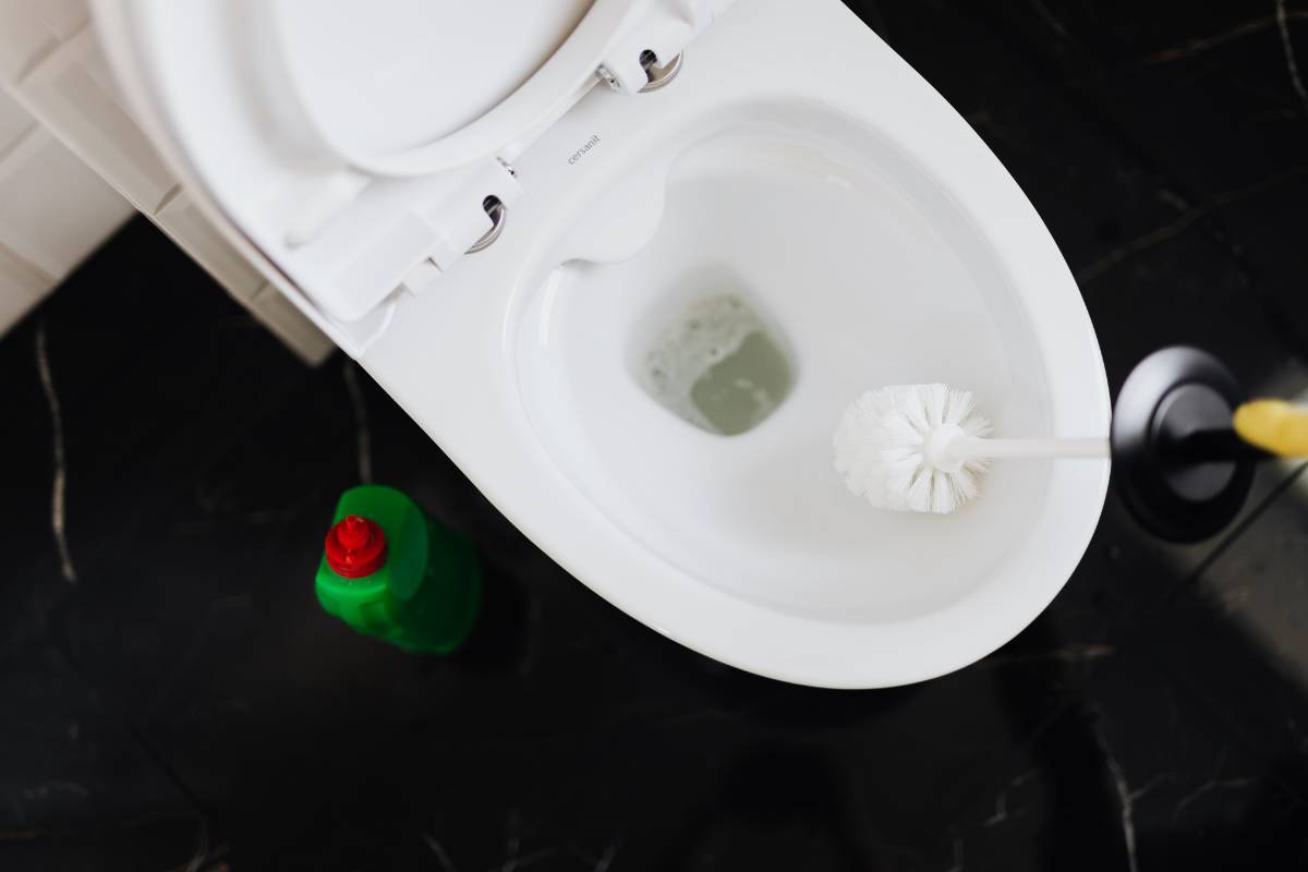 limpar o fundo do vaso sanitário