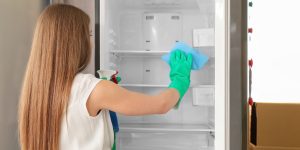 limpeza natural da geladeira
