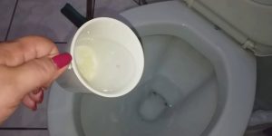 mistura caseira para eliminar cheiro de urina no banheiro