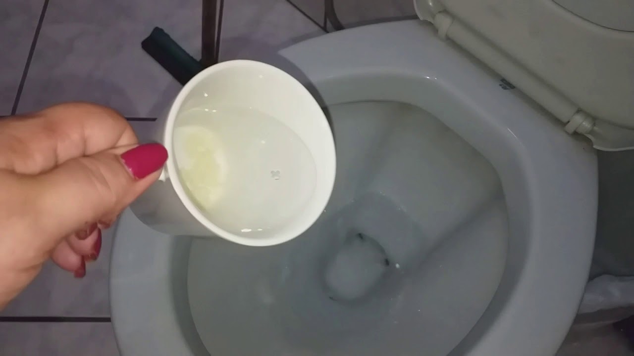 mistura caseira para eliminar cheiro de urina no banheiro