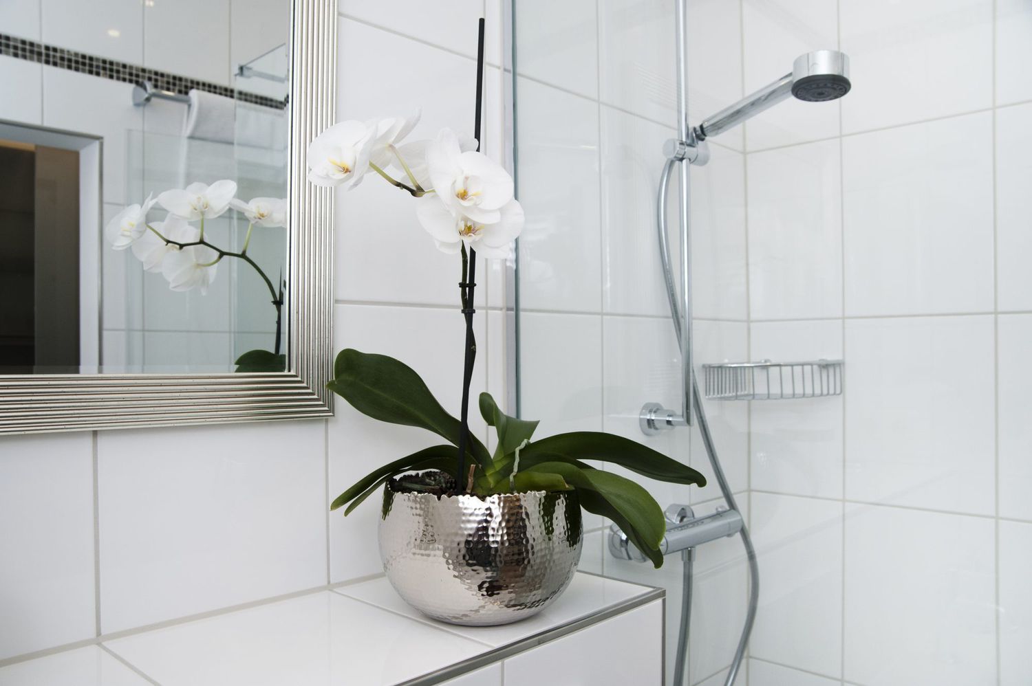 orquídea branca em banheiro