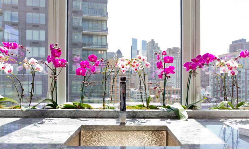 vasos de orquídeas em janela de apartamento