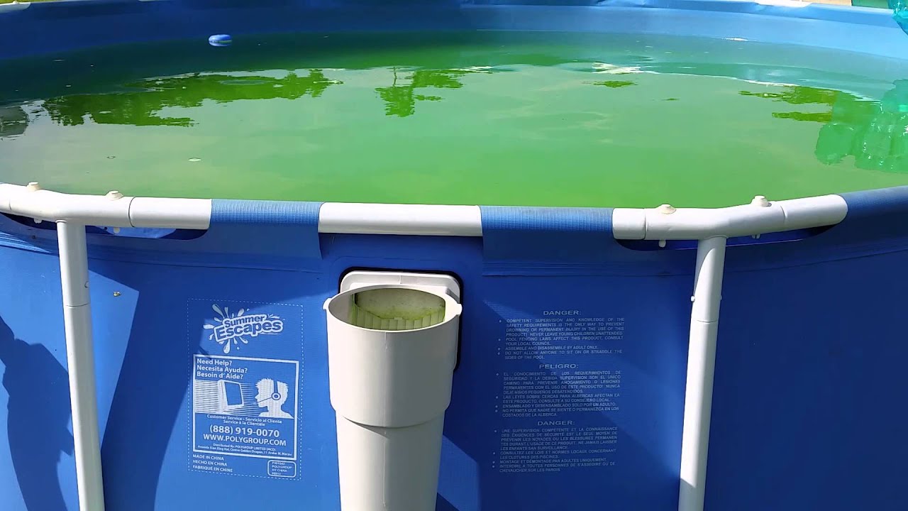 piscina com água verde