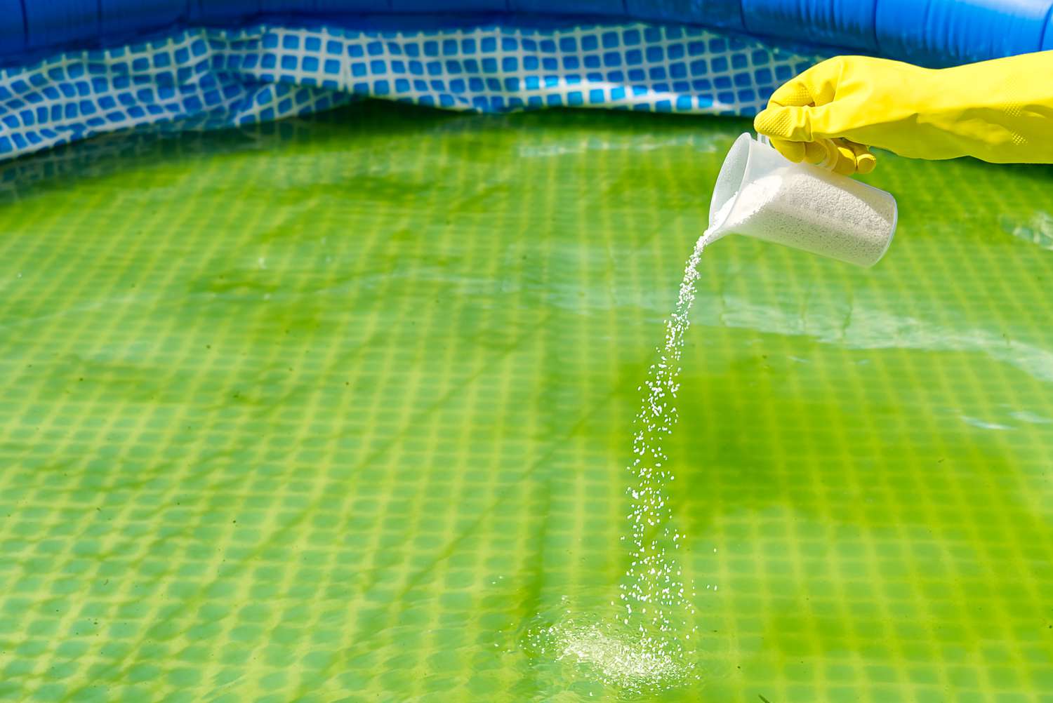 piscina de plástico com água verde