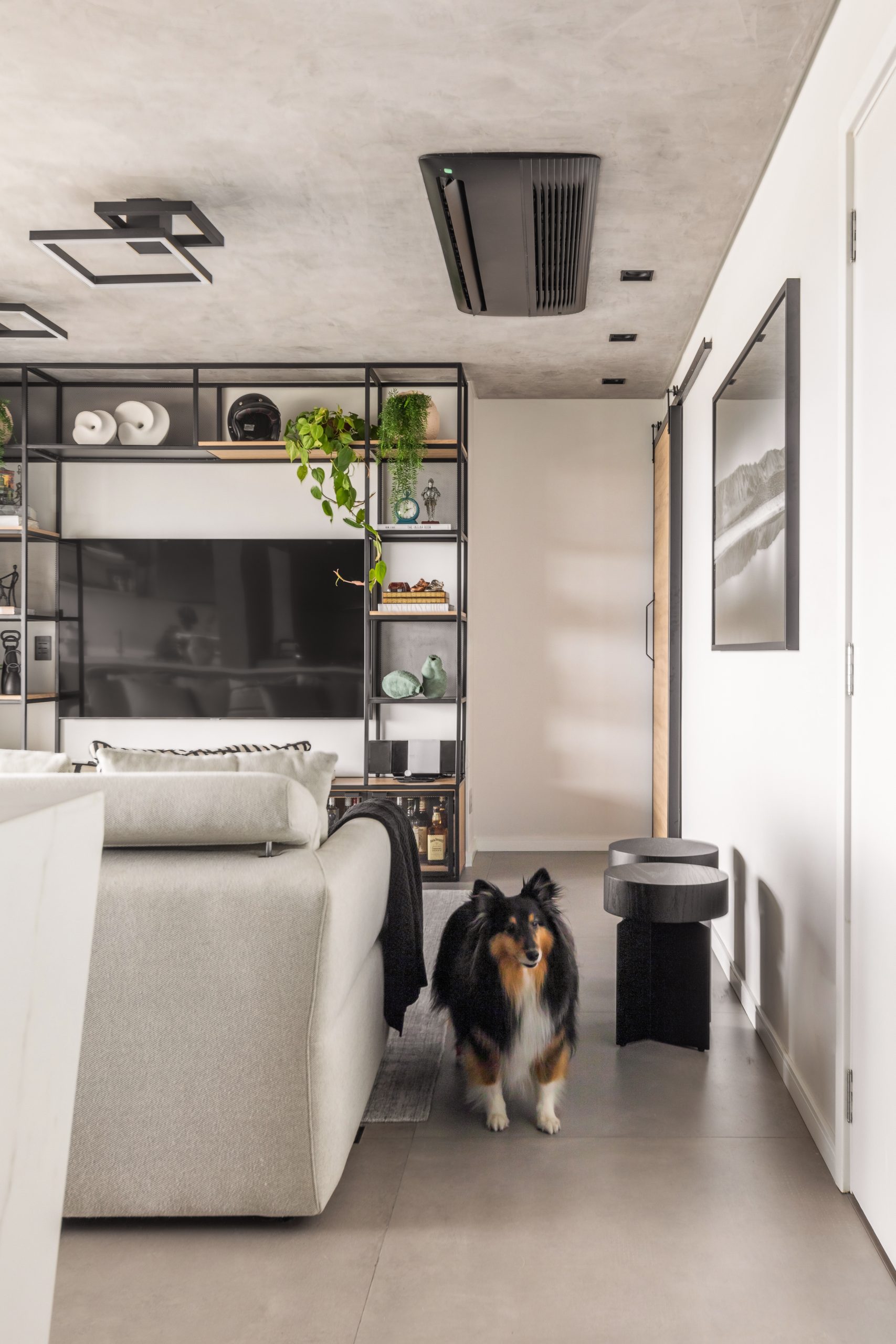 cachorro em living de apartamento amplo