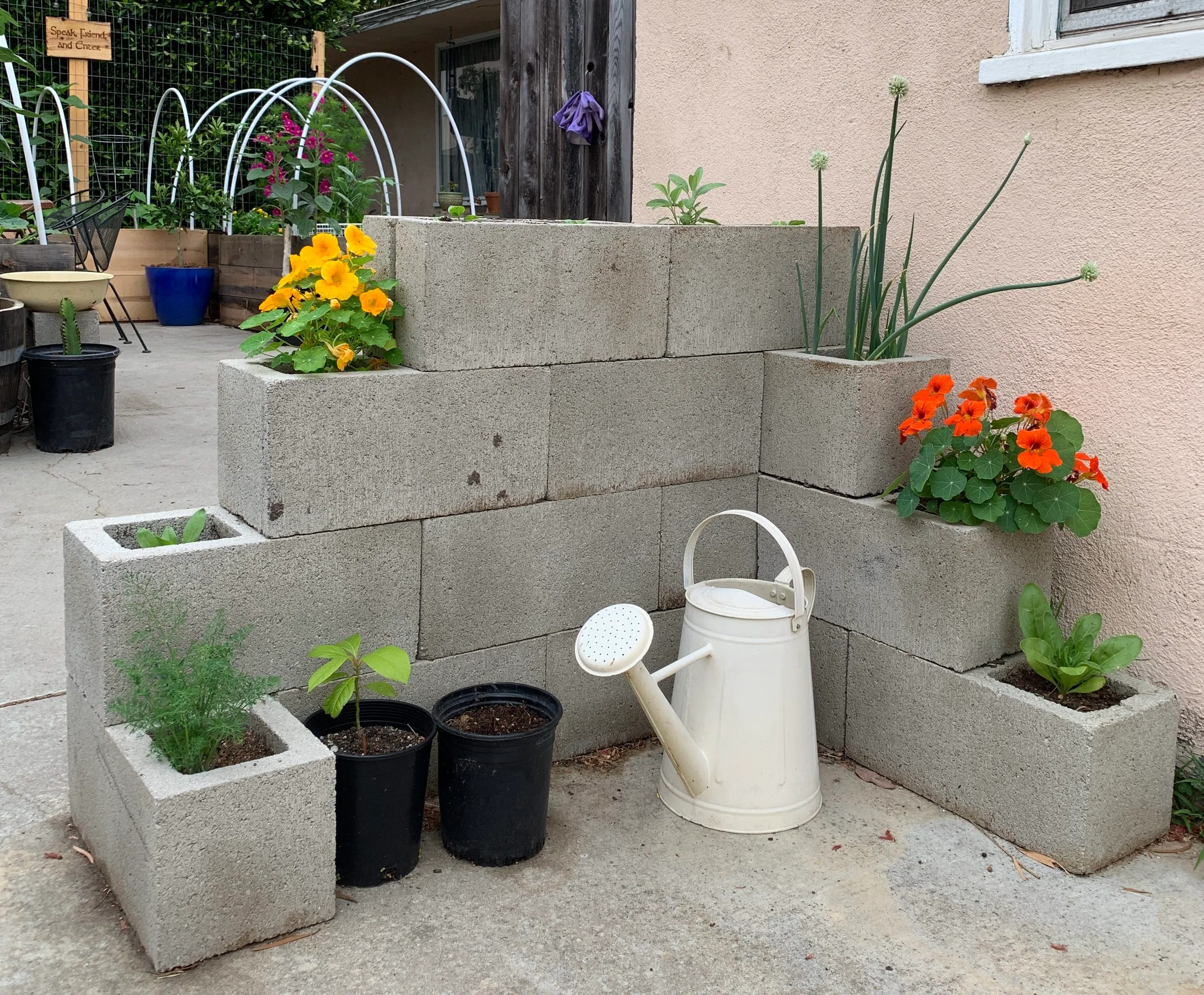 blocos de concreto para horta