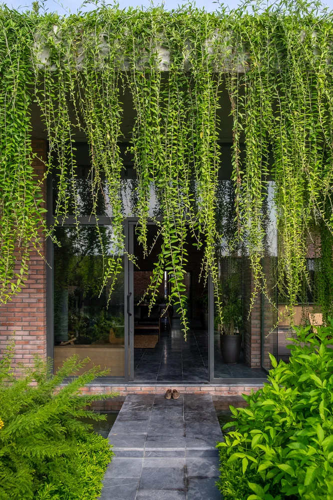 entrada de casa com cultivo de cortina verde