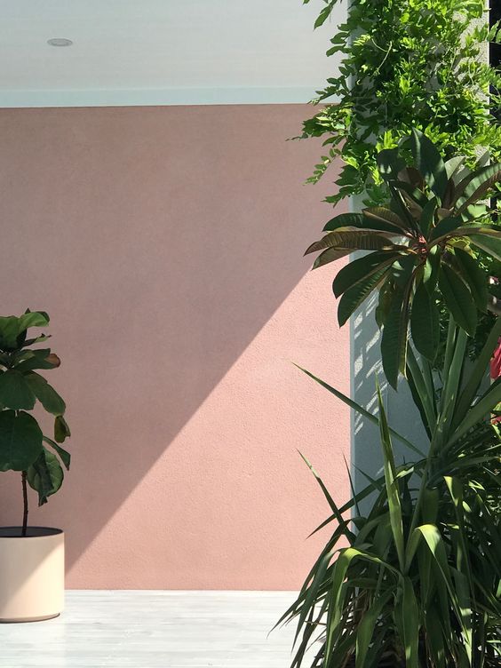 fachada rosa com plantas