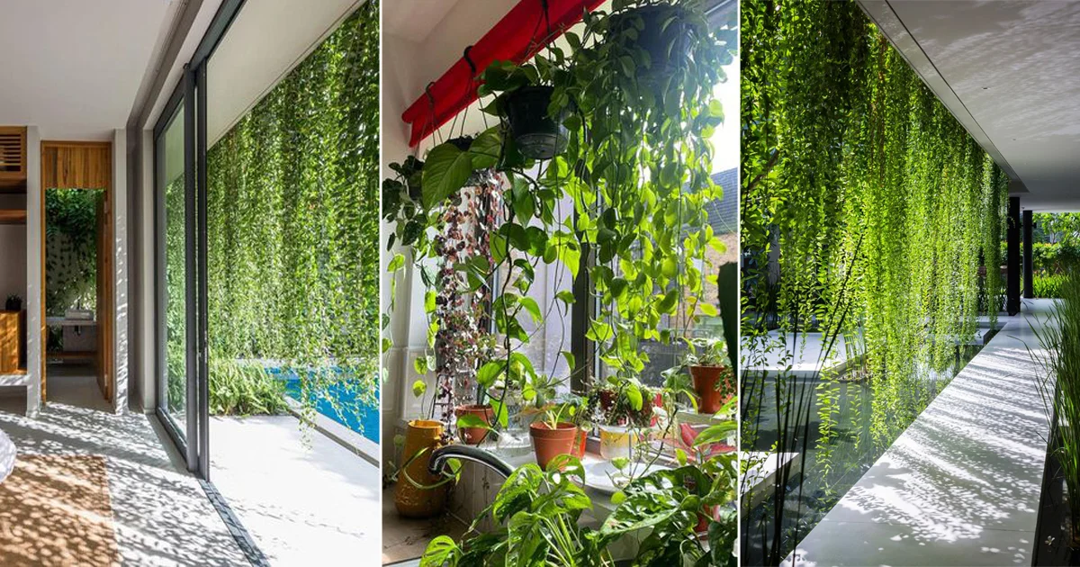 ideias de cortinas verdes