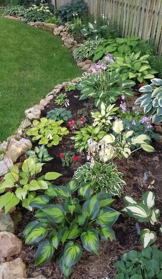 10 Dicas para ter um jardim externo simples e barato na frente de casa