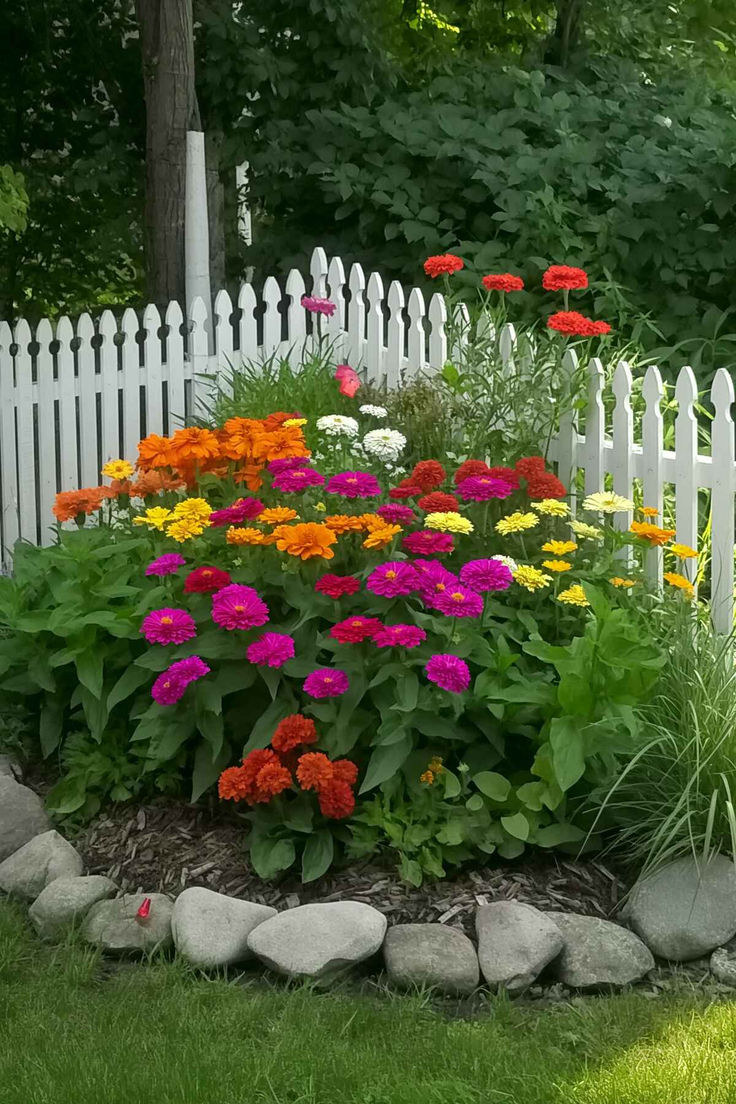 10 Dicas para ter um jardim externo simples e barato na frente de casa